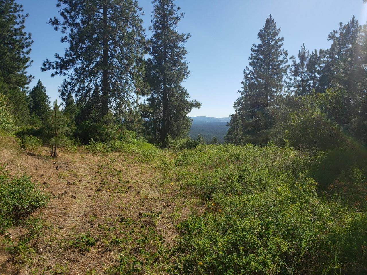 Lot 11 Kurt Ln - Photo 1