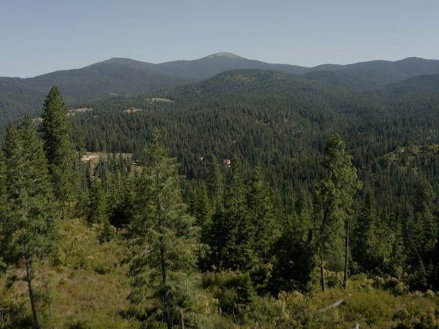 120 Acres Moody Ln - Photo 1