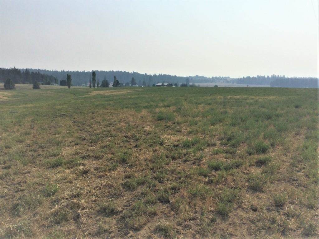 26xxx Monroe Rd - Photo 1