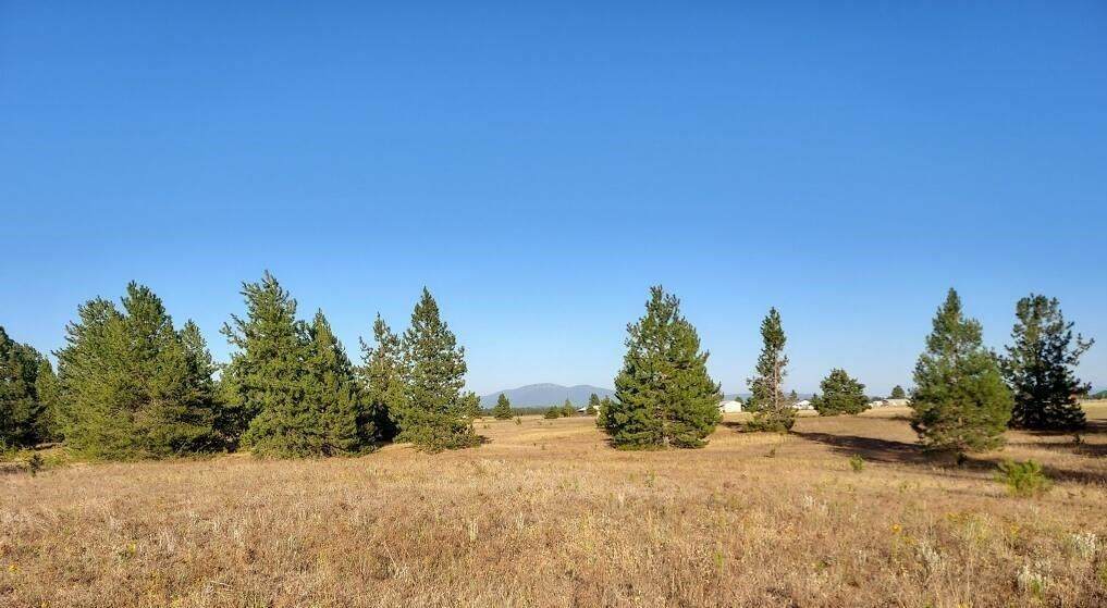 361XX Cedar Rd - Photo 1