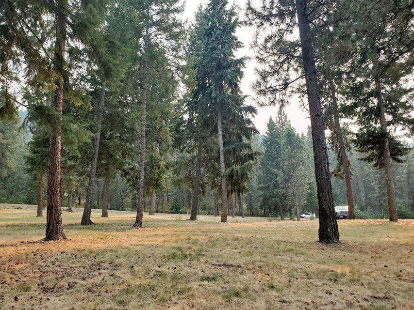TBD Marcus Campground Rd - Photo 1
