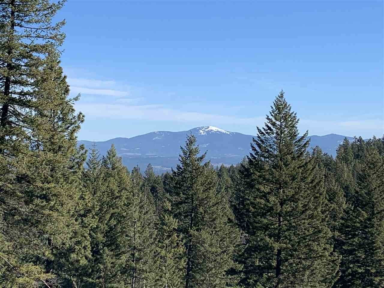 6314 Lookout Mountain Ln - Photo 1