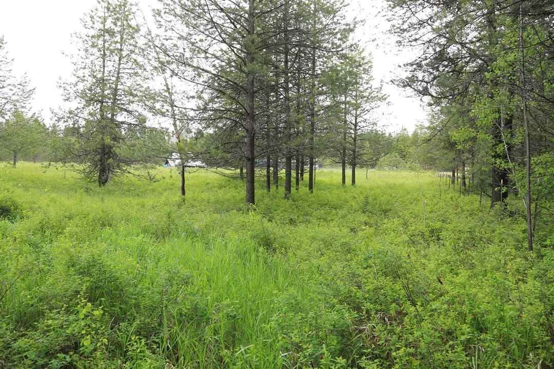 UNK Patti Ln - Photo 1