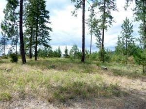 Lot 29 Palmer Loop - Photo 1