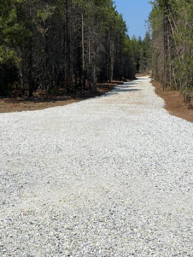 000 Hwy 231 #4 Hwy - Photo 1
