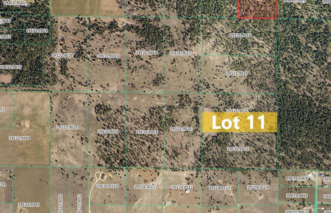 Sherman Rd -TBD Unassigned Address Rd - Photo 1