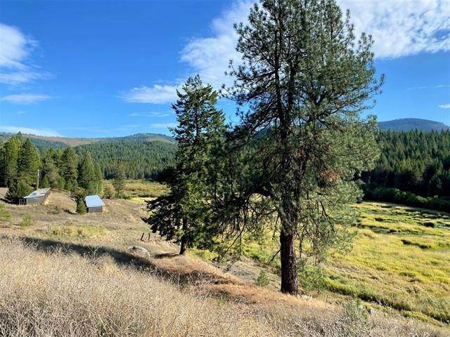 130 Acres Departure Ln - Photo 1