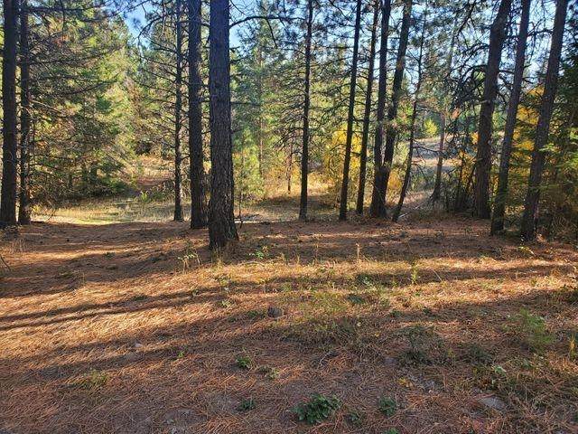 4087 Pine View Way - Photo 1
