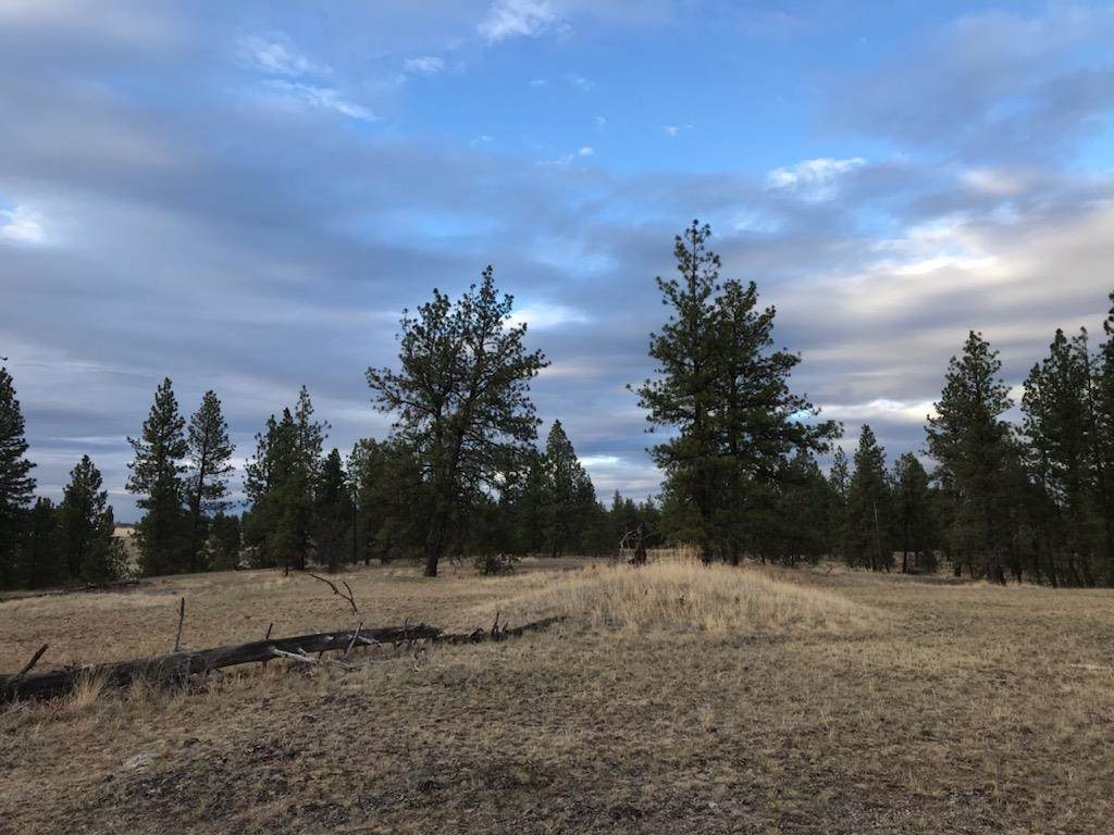 XXX Williams Lake Rd - Photo 1