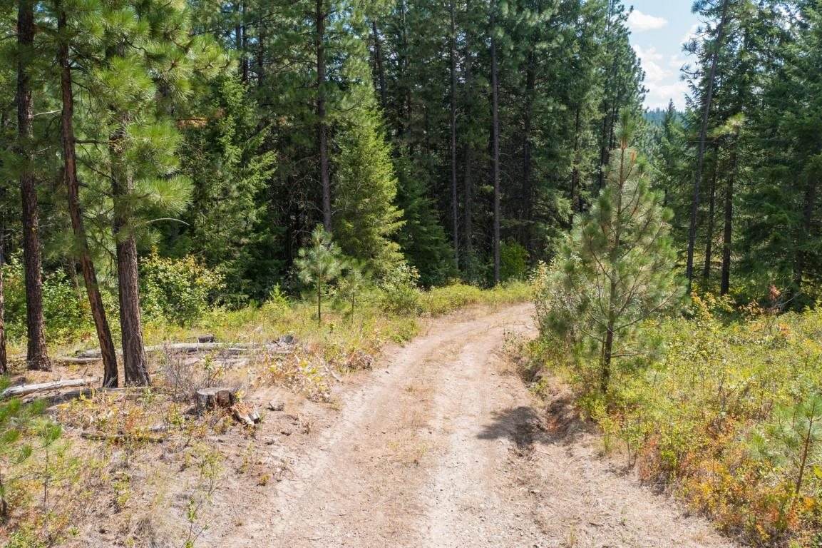 XXX Castle Rock Creek Rd - Photo 1