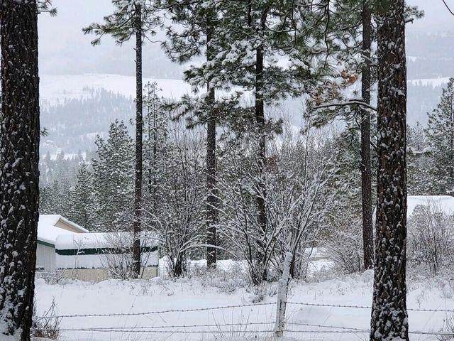786 Y Arden Butte Rd - Photo 1