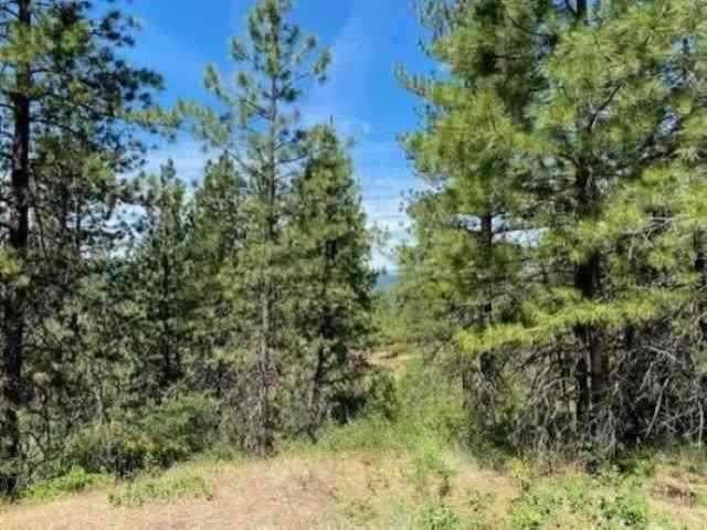 0 Scoop Mountain Rd - Photo 1