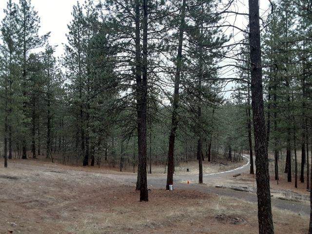 52284 Woods Ln - Photo 1