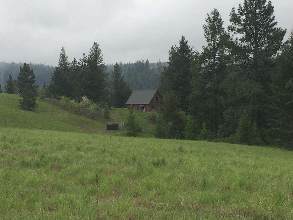 5099 Allen Rd - Photo 1