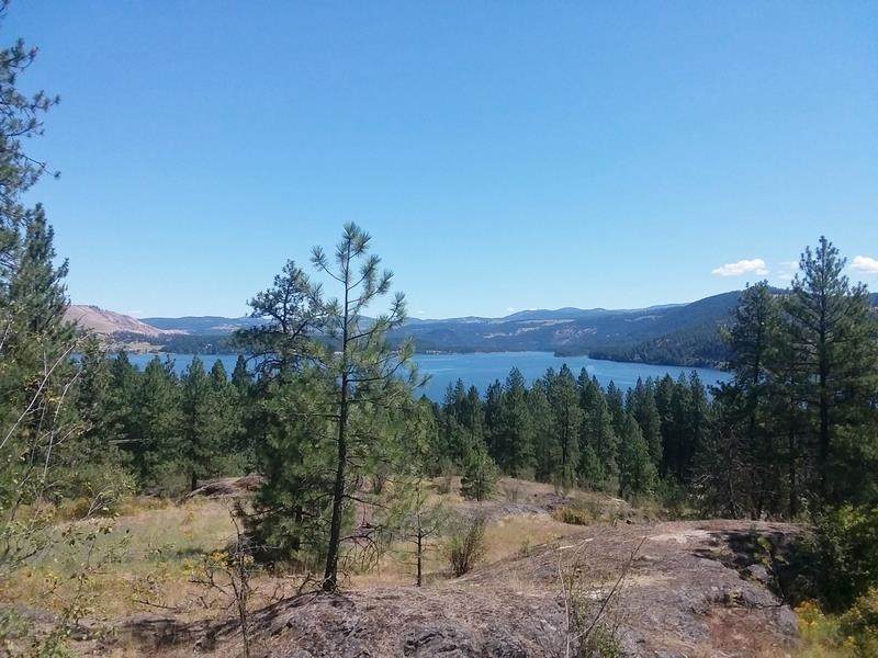00 Hwy 395 Hwy - Photo 1
