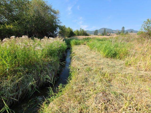 TBD Parcel B Williams Lake Rd - Photo 1