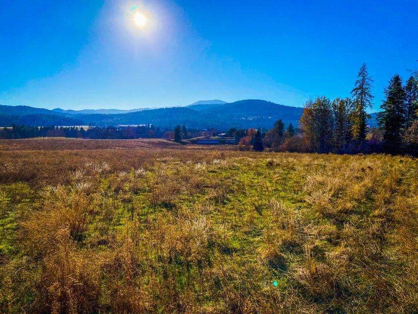 TBD-Lot C 395 Hwy - Photo 1