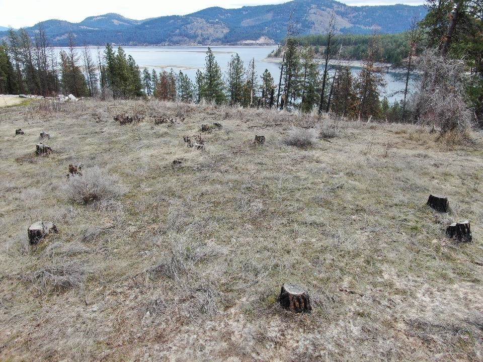 11 Ponderosa Park Dr - Photo 1