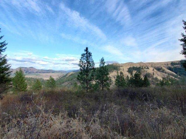 NKA Old Hughes Rd - Photo 1