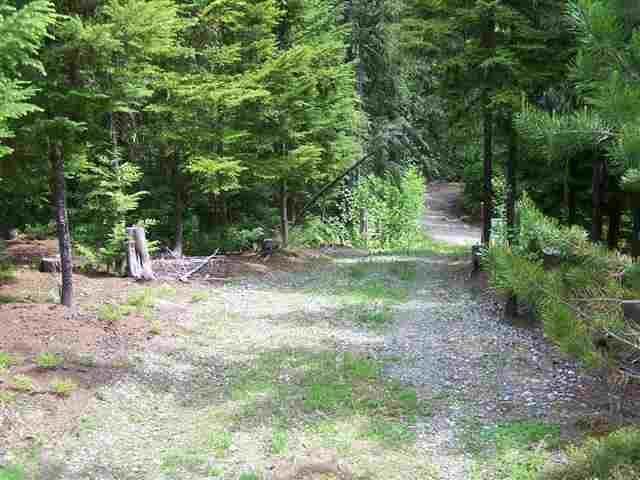 7700 Ruby Creek Rd - Photo 1