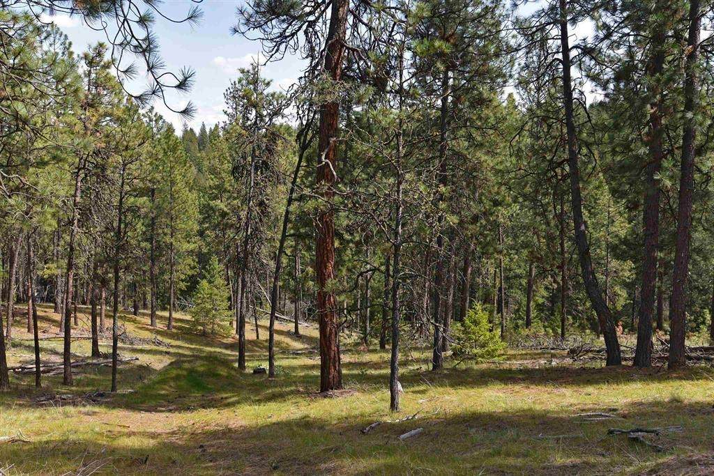 75 Acres Mullen Hill Rd - Photo 1