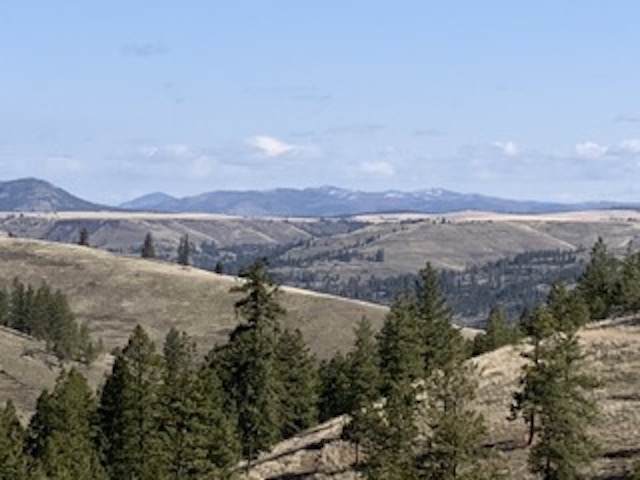 30791 Pine Hen Ln - Photo 1