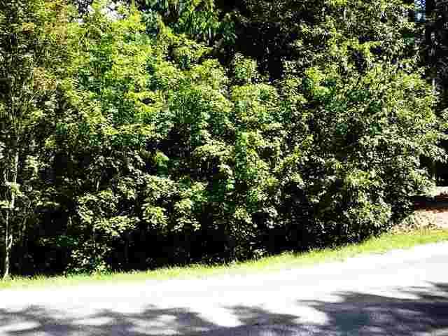 4093 Southwood Shores Rd - Photo 1
