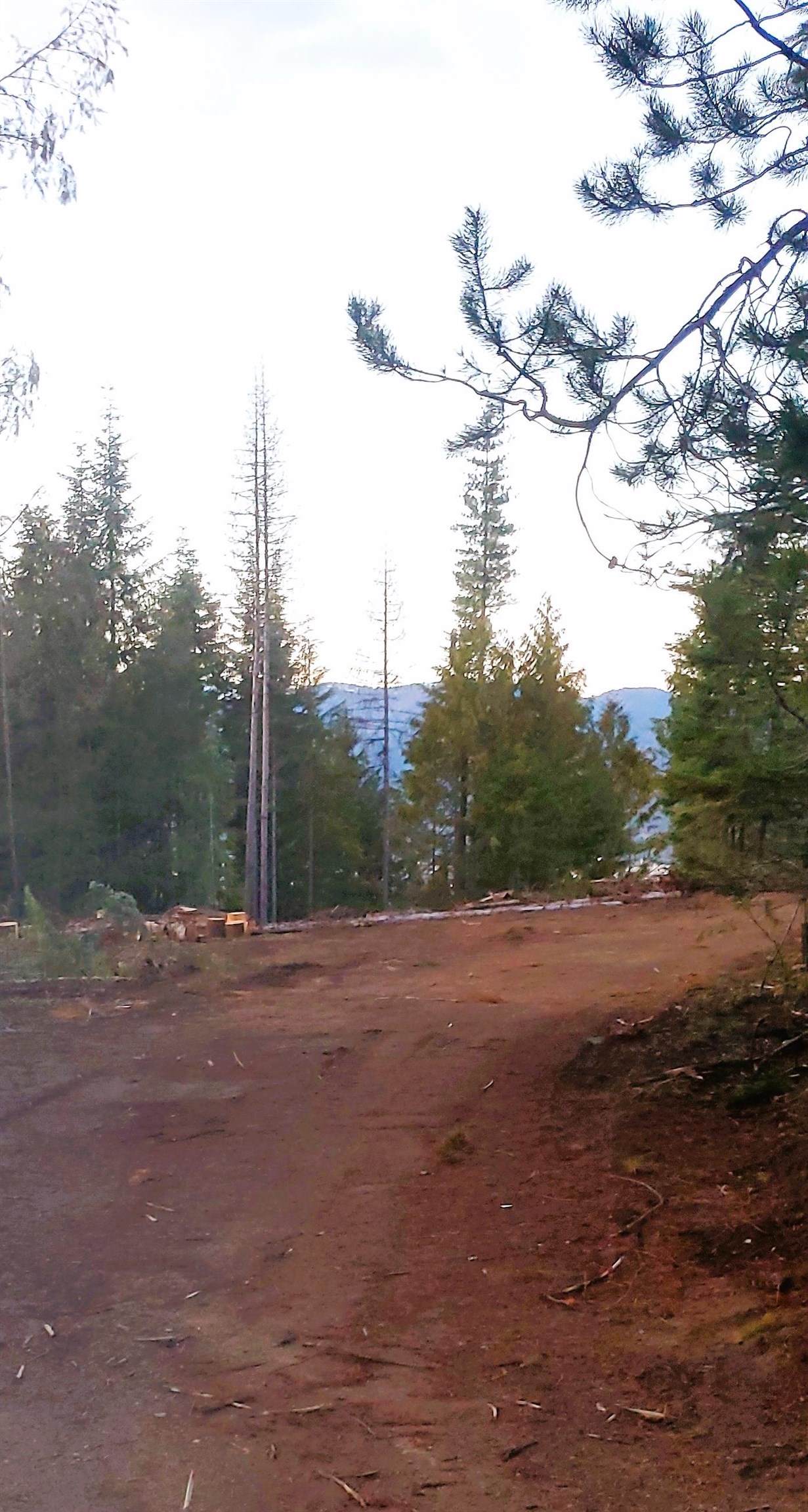TBD Silver Birch Parcel B Rd - Photo 1