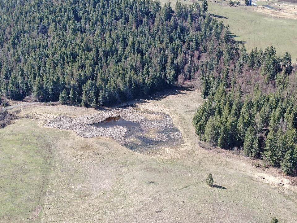 18XX Grace Valley Way - Photo 1