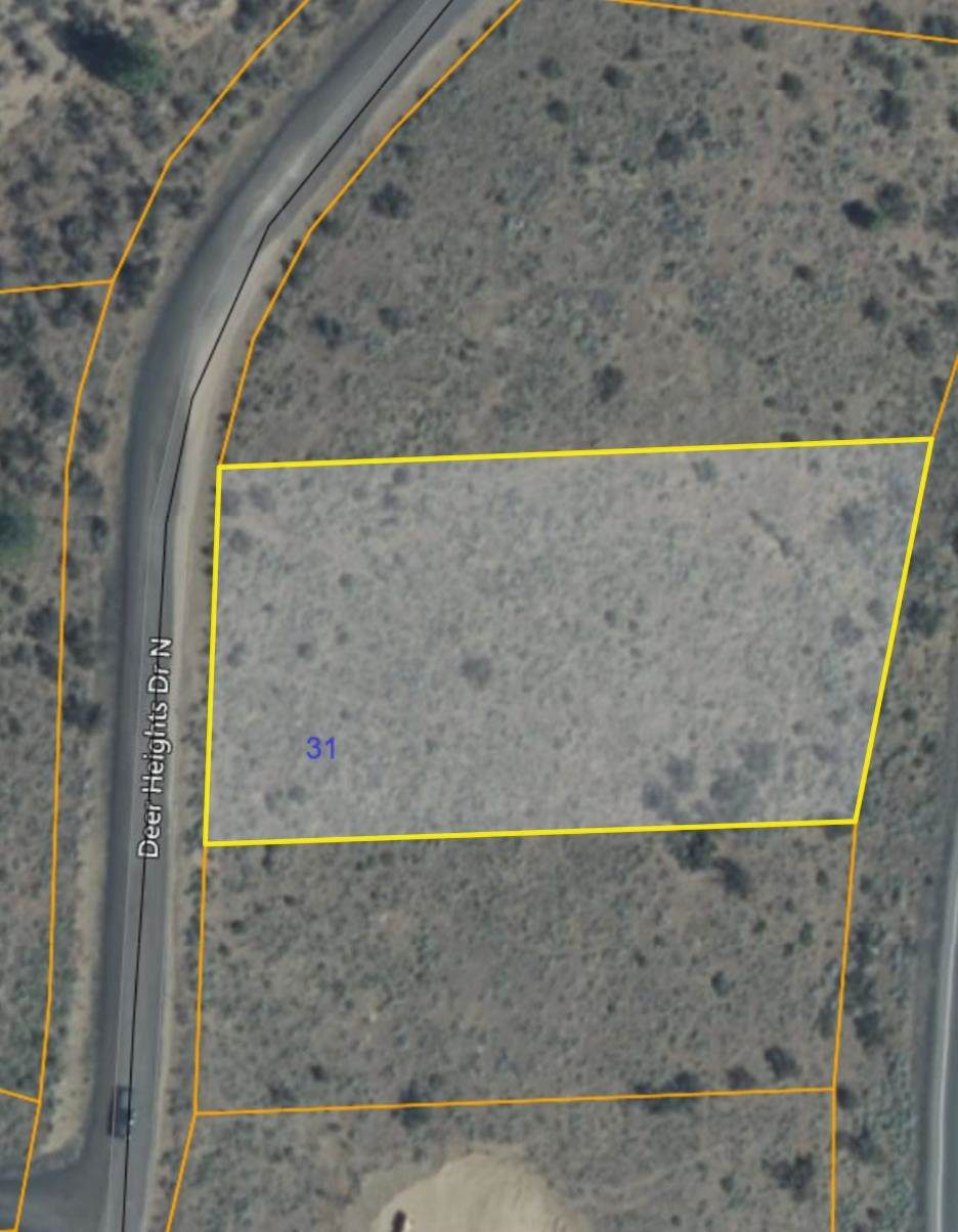 42500 Deer Heights Drive North Dr - Photo 1