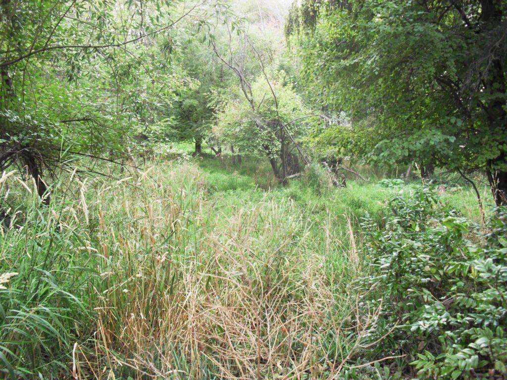 9xx Birch Ave - Photo 1