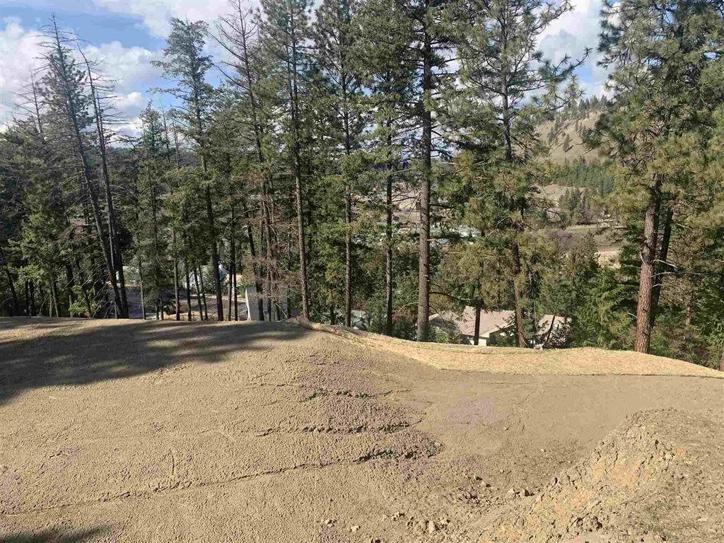 916 Qualchan Ln - Photo 1