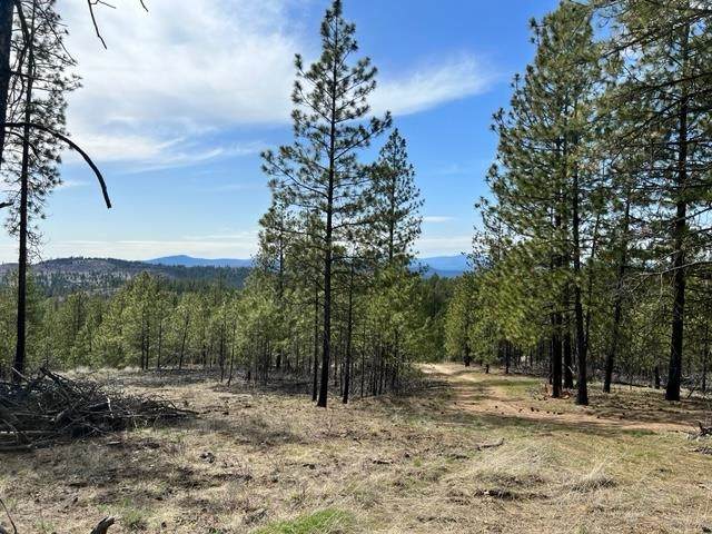 XXXX Coyote Canyon Rd - Photo 1