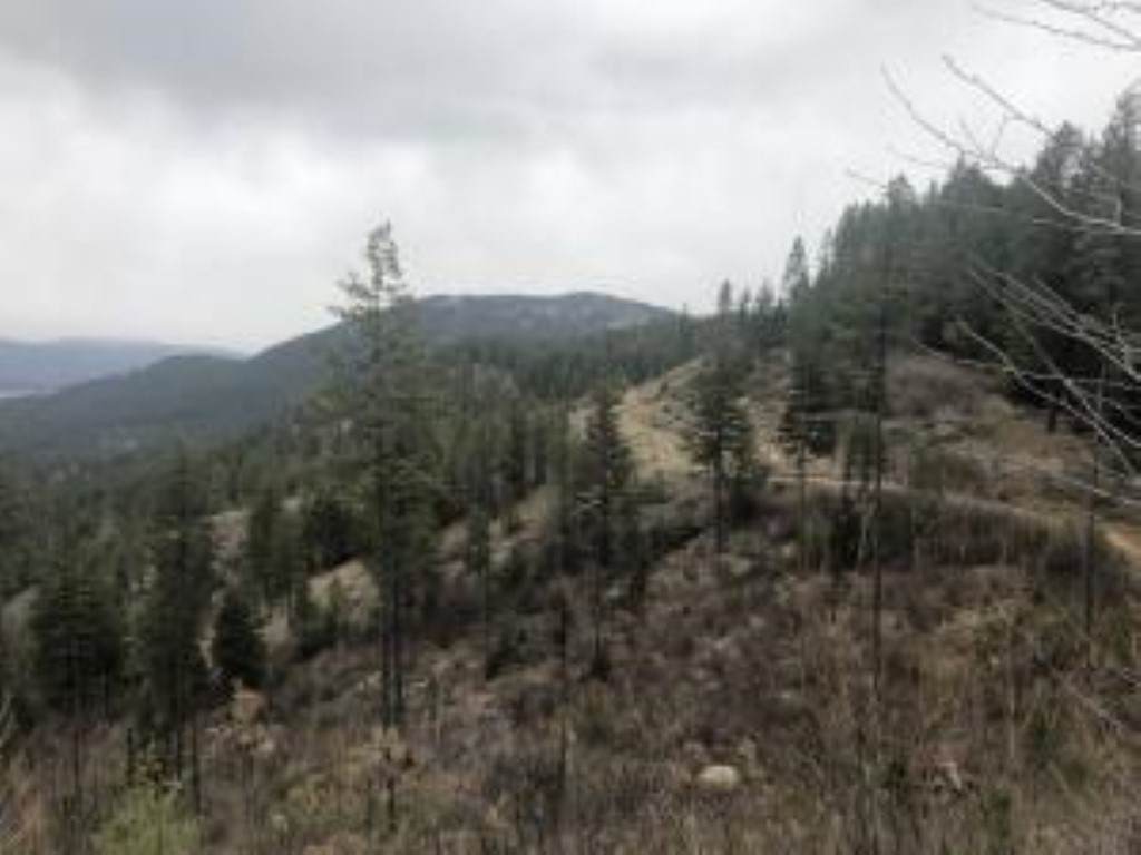 XXX Horseshoe Lake Rd - Photo 1