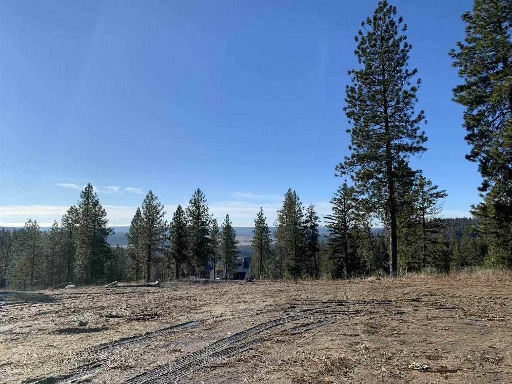 5022 Country Hills Ln - Photo 1