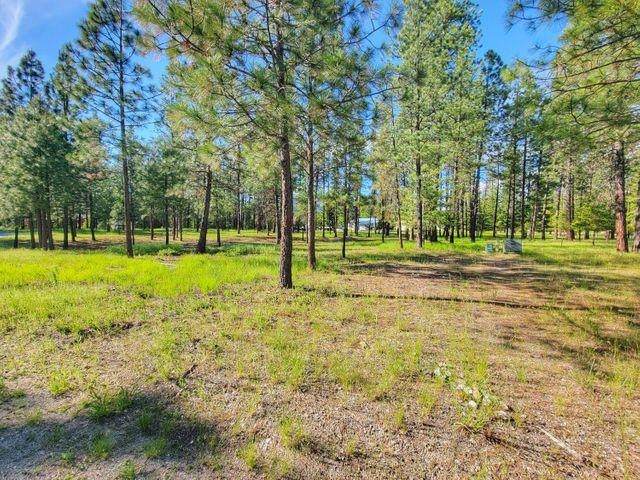 253 Eagle Dr - Photo 1
