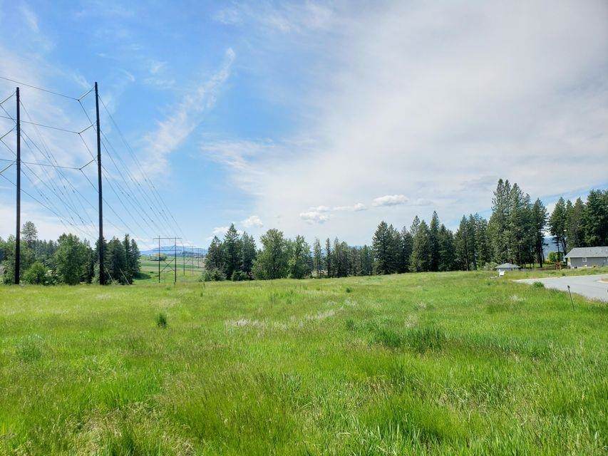 2058 Ringneck Loop - Photo 1