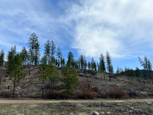 TBD-Lot 3 Coyote Canyon Rd - Photo 1