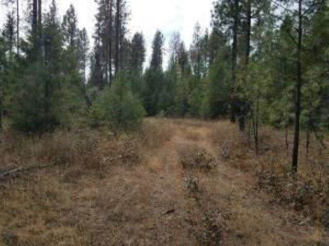 TBD Nine Mine Rd - Photo 1