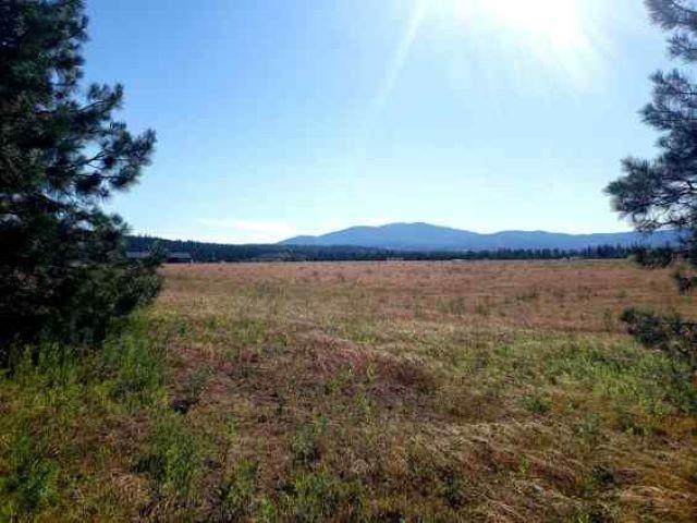 28XXX Owens Rd - Photo 1