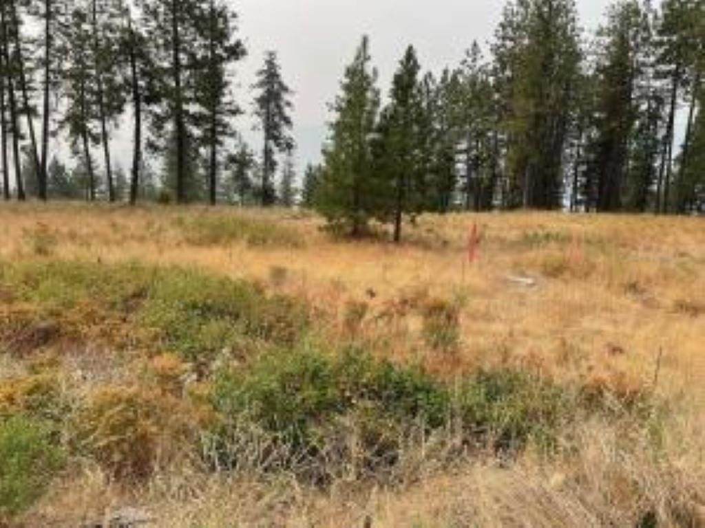LOT 7 Palmer Crest Ln - Photo 1