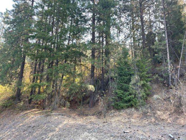 XXXX Bissell Rd - Photo 1