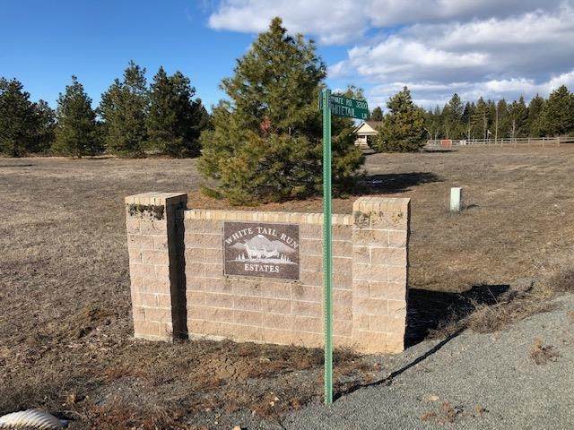 Parcel GG Whitetail Ln - Photo 1