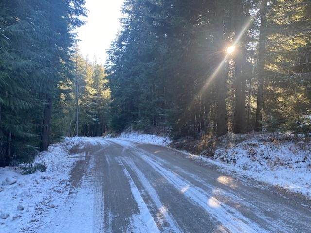 XX Best Chance Rd - Photo 1