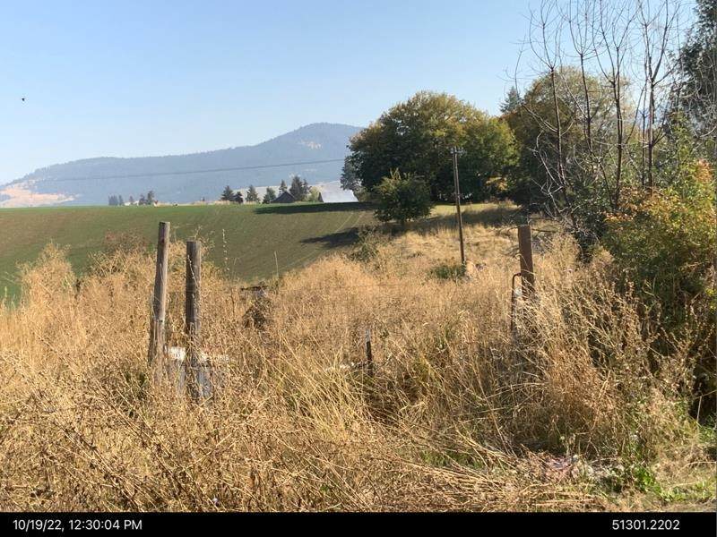 310 Vine St - Photo 1