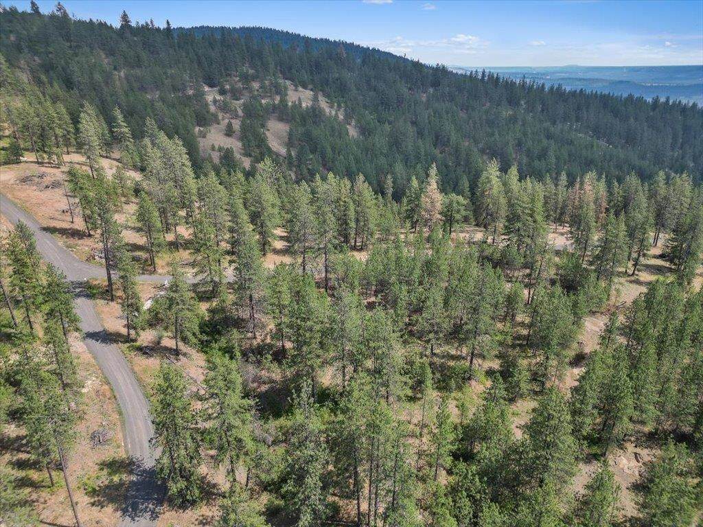 NKA-Lot B of Lot 6 Weaver Way - Photo 1