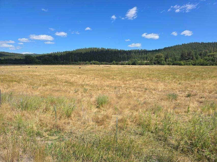 13XX Kitt Narcisse Rd - Photo 1