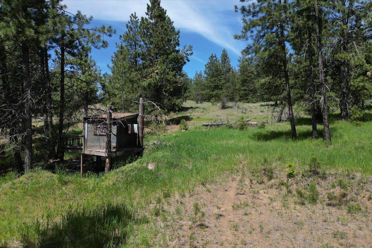 XXXXXX Custer Ln - Photo 1