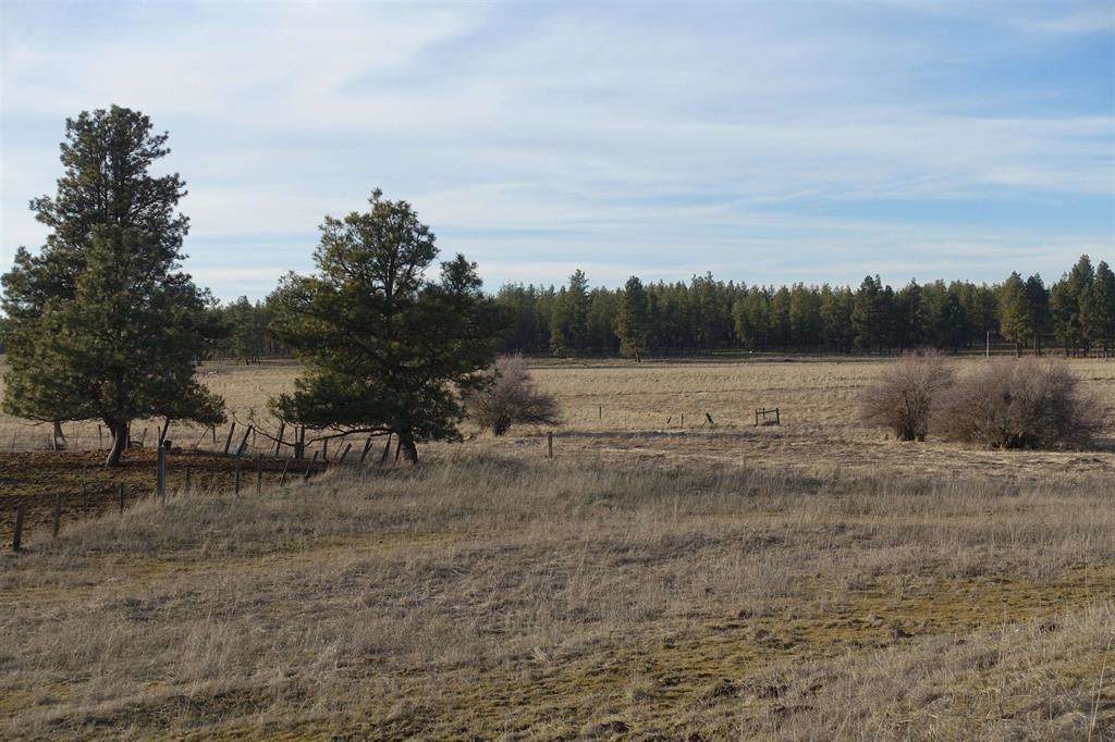 20xxx Parker Rd - Photo 1