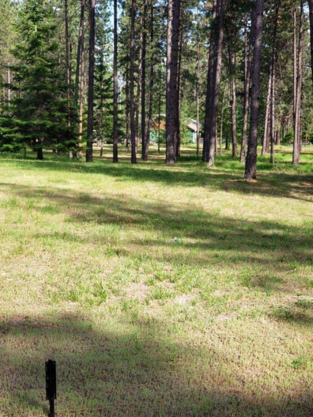 251 Eagle Dr - Photo 1
